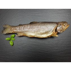 Forelle ganzer Fisch geräuchert (oncorhynchus mykiss)